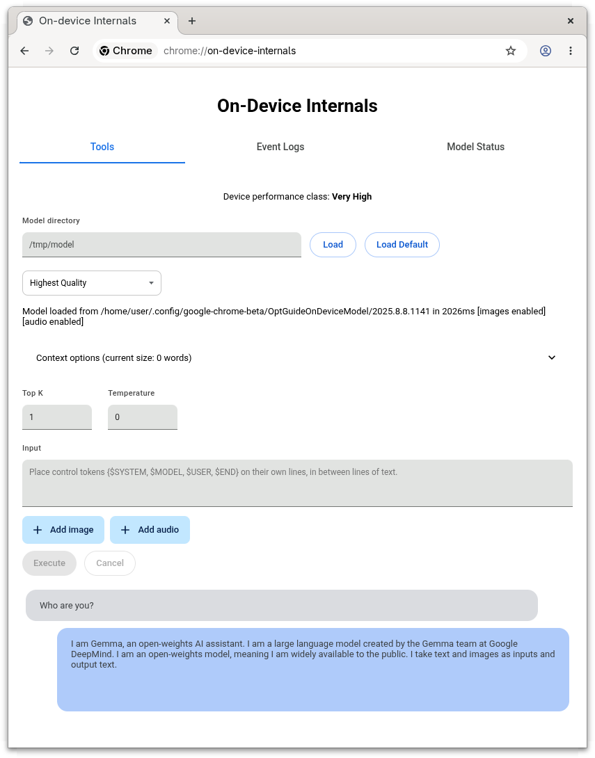 Screenshot of on-device-internals chat page